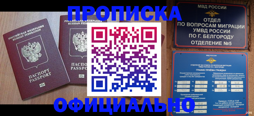 найти адрес прописки в Партизанске